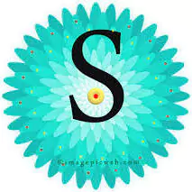 romantic stylish s letter dp